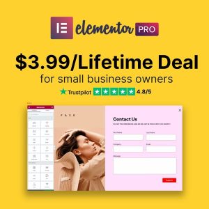 Elementor PRO WordPress Page Builder + Pro Templates